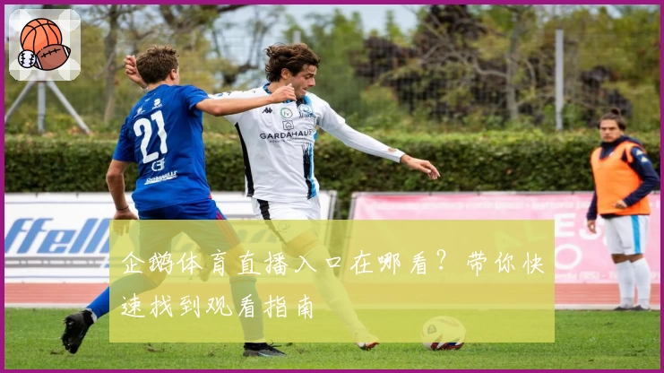 企鹅体育直播入口在哪看？带你快速找到观看指南
