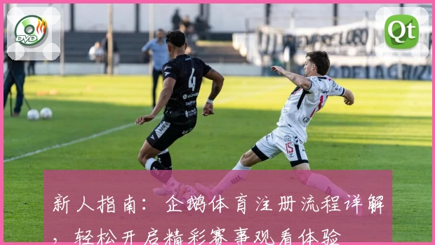 新人指南:企鹅体育注册流程详解,轻松开启精彩赛事观看体验