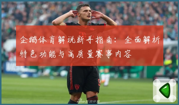 企鹅体育解说新手指南：全面解析特色功能与高质量赛事内容