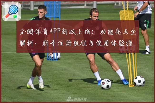 企鹅体育APP新版上线：功能亮点全解析，新手注册教程与使用体验指南