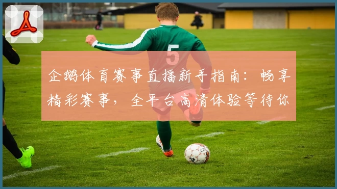 企鹅体育赛事直播新手指南：畅享精彩赛事，全平台高清体验等待你探索