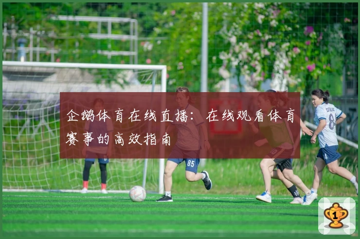 企鹅体育在线直播:在线观看体育赛事的高效指南