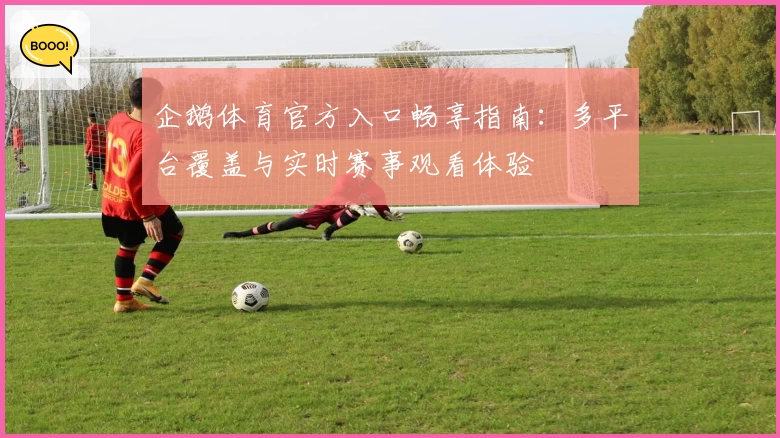 企鹅体育官方入口畅享指南：多平台覆盖与实时赛事观看体验