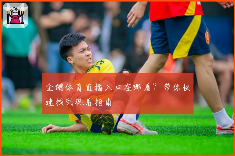 企鹅体育直播入口在哪看？带你快速找到观看指南