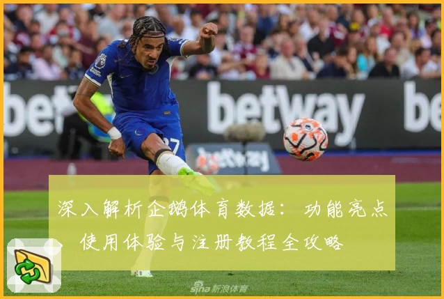 深入解析企鹅体育数据：功能亮点、使用体验与注册教程全攻略